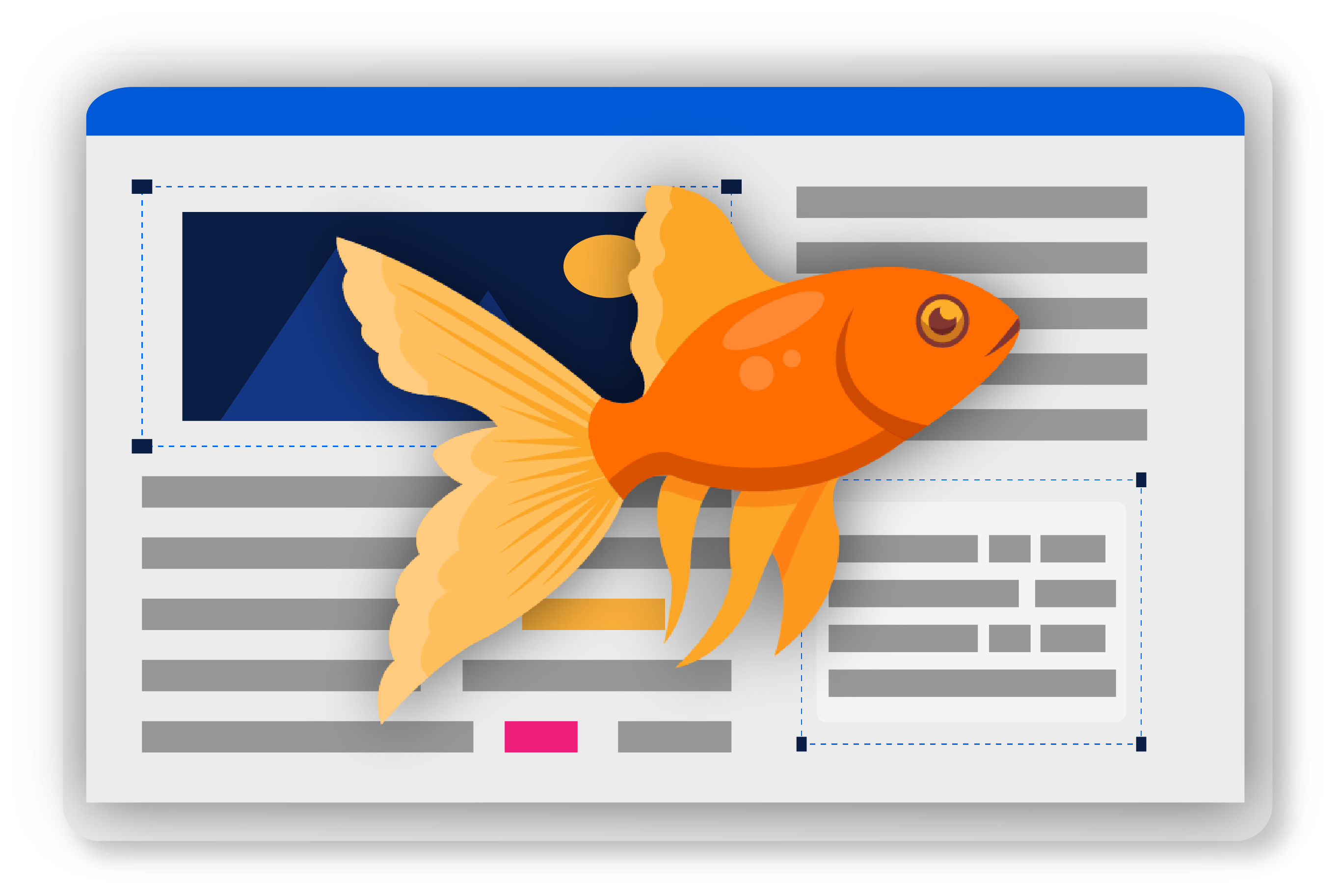 Goldfish attention span